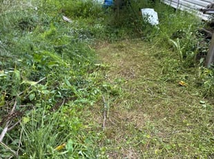 Weeding by Amanda Carter for Angela G. in Selma, NC