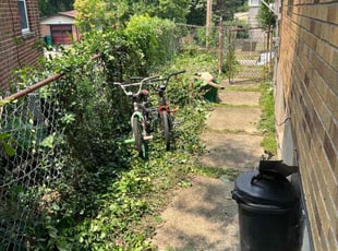 Bush Trimming by James Abernathy for Keisha C. in Cincinnati, OH