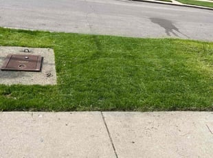 Neil L.'s Lawn Care service result