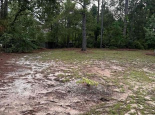 Cleanups by Travel Tull for Wendi P. in Columbia, SC