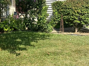 Bush Trimming by Luis Contreras for Jeffrey C. in McCordsville, IN