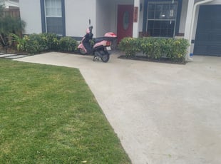 Bush Trimming by Rick Buricca for Amanda B. in Delray Beach, FL