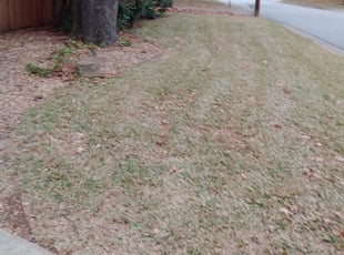 Cleanups by Pedro Lara for Steven M. in Arlington, TX