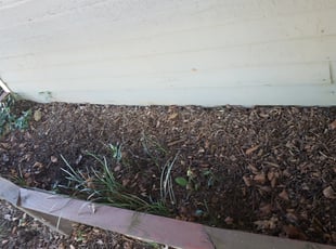 Leaf Removal by Chris McClelland for Mary G. in Birmingham, AL