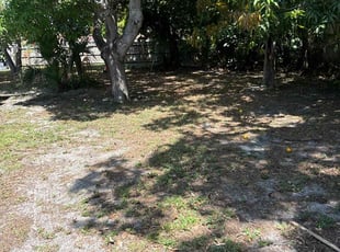 Leaf Removal by Jhon MarroquΓn for Elise L. in Delray Beach, FL
