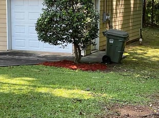 Bush Trimming by Ronald Jackson for Ed J. in Conyers, GA