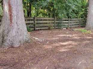 Leaf Removal by Nnedinma Mbagwu for Andrea S. in Lorton, VA