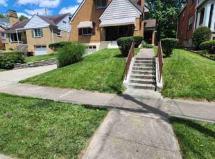 Bush Trimming by D'andre Antrion Covington for Phillip B. in Cincinnati, OH