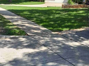 Mike A.'s Lawn Care service result