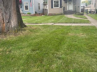 Cobe m.'s Lawn Service service result