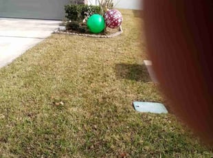 Bush Trimming by Thomas Wilson for Jenica G. in St. Augustine, FL