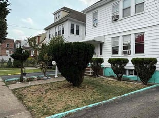 Bush Trimming by Carlos Sanchez for Belal S. in Elizabeth, NJ