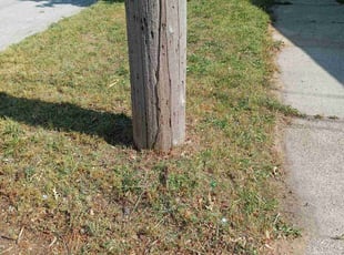 Cleanups by Sarah LaRue for Christian A. in Muskegon, MI