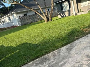 Mark L.'s Lawn Care service result