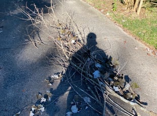 Cleanups by EL AllA-MuAmAd for Eric W. in Matthews, NC