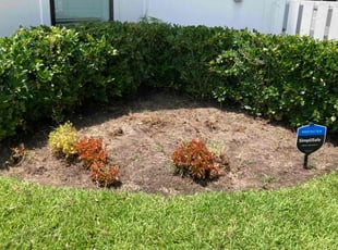 Weeding by Moises Perez for James M. in Houston, TX