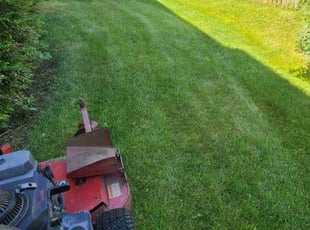 Keith G.'s Lawn Mowing service result