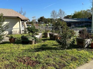 Cleanups by Luis Ocampo for Kaneswha C. in Sacramento, CA