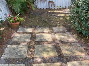Leaf Removal by Charles Walton for Flo S. in Boynton Beach, FL