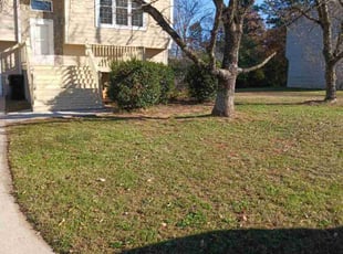 Debra S.'s Lawn Service service result