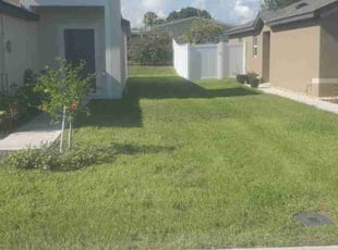 Cleanups by Richard Rhoden for Erich W. in Winter Haven, FL