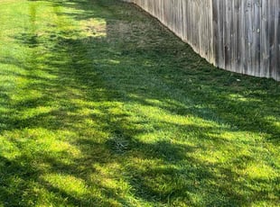 George B.'s Yard Cutting service result