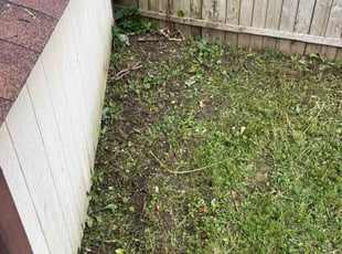Weeding by Andrew Szumski for Saralee S. in Grand Rapids, MI