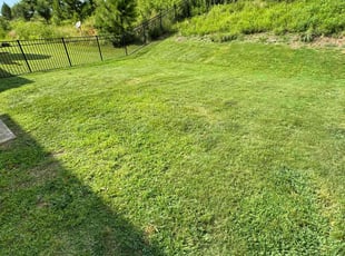 Cleanups by Quincy D. for Kevin S. in Charlotte, NC