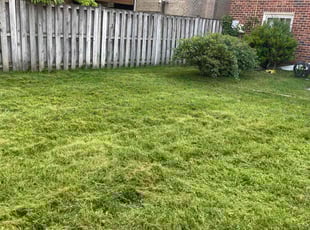 Cleanups by Eduardo Guzman for Chavanon P. in Vienna, VA