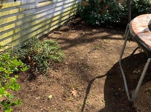 Leaf Removal by Clinton Peet for Matthew H. in Norfolk, VA