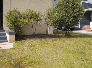Cleanups by Willie Collier for Crystal M. in Jacksonville, FL