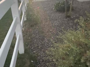 Leaf Removal by Adameus Marcum for Muinat A. in Denver, CO