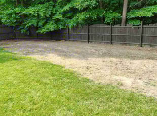 Cleanups by James Mclean for Nichole T. in Richmond, VA