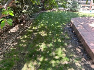 Leaf Removal by Devin Brown for Jananie L. in Englewood, CO