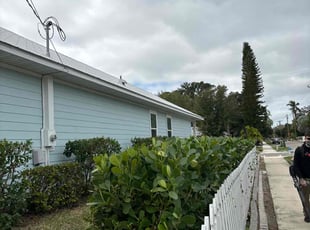 Bush Trimming by Ben Conlon for Michael N. in Bradenton, FL
