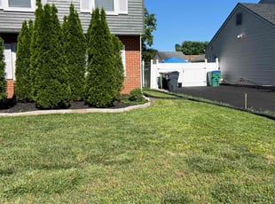 Bush Trimming by LaWanda Moses for Javar S. in Richmond, VA