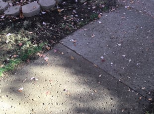 Leaf Removal by Tom Davis for Angela W. in Denver, CO