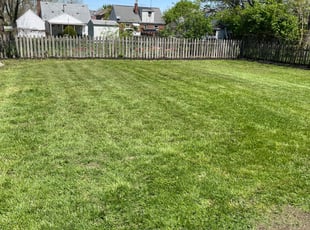 Weeding by Zach Pummill for Terry H. in Dayton, OH