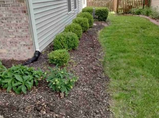 Cleanups by Jonathan Pace for Brian L. in Fishers, IN
