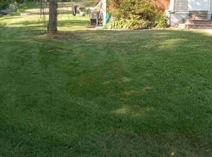 LaVina S.'s Lawn Service service result