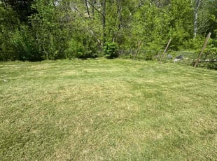 Shannon L.'s Yard Cutting service result