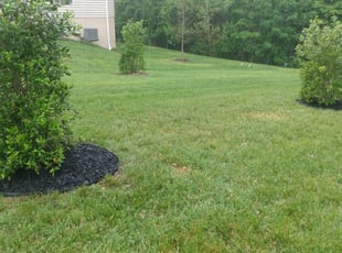 Mulching by Greg Bush for Charles A. in Upper Marlboro, MD