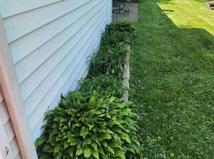Cleanups by Brooke Ardoin for Tod P. in Elmhurst, IL