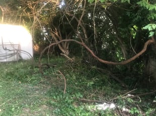 Cleanups by Jt Sallee for Nancy R. in Cincinnati, OH
