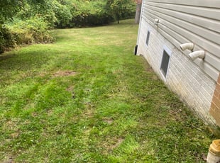 Leaf Removal by Orlando Guevara for Latoya W. in Bowie, MD