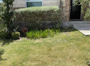 Weeding by Stanmore Hinds for James B. in Schertz, TX