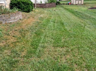 Bush Trimming by Lorenzo Bennett for Mark S. in Washington Township, NJ