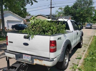 Leaf Removal by Richard Vonderau for Bob K. in Parma Heights, OH