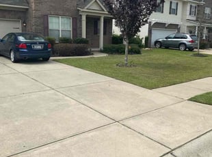 Cleanups by Patrick Martin for Ezell V. in Columbia, SC