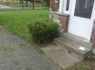 Bush Trimming by Marcus Grimes for Rhonda M. in Dayton, OH